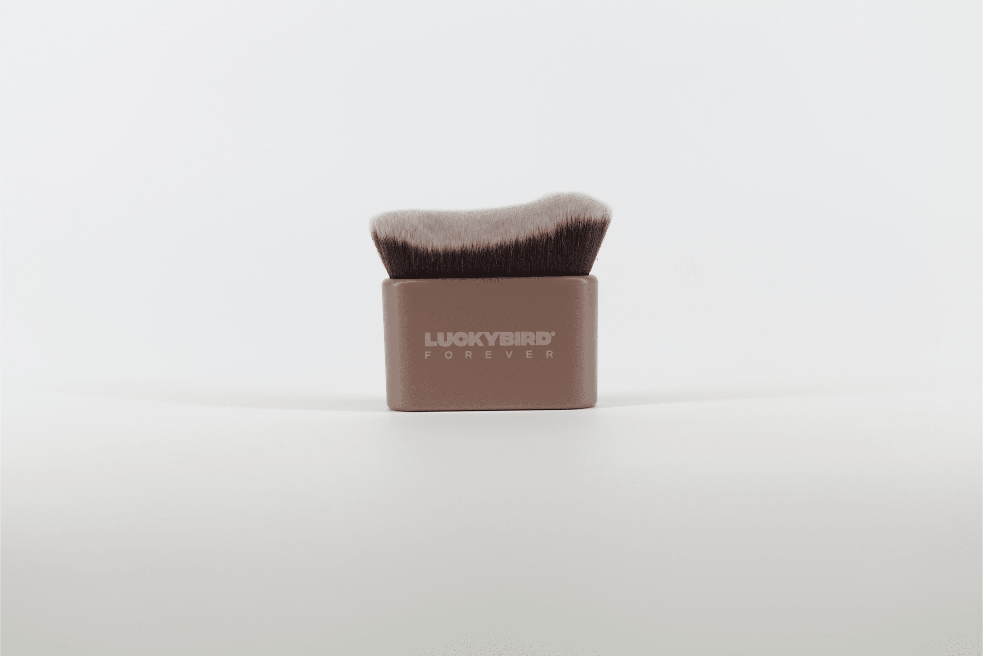 Professional Face & Body Blending Brush - LuckyBirdForever® – Official Store